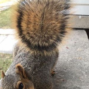 Meet your Posher, Jeremy